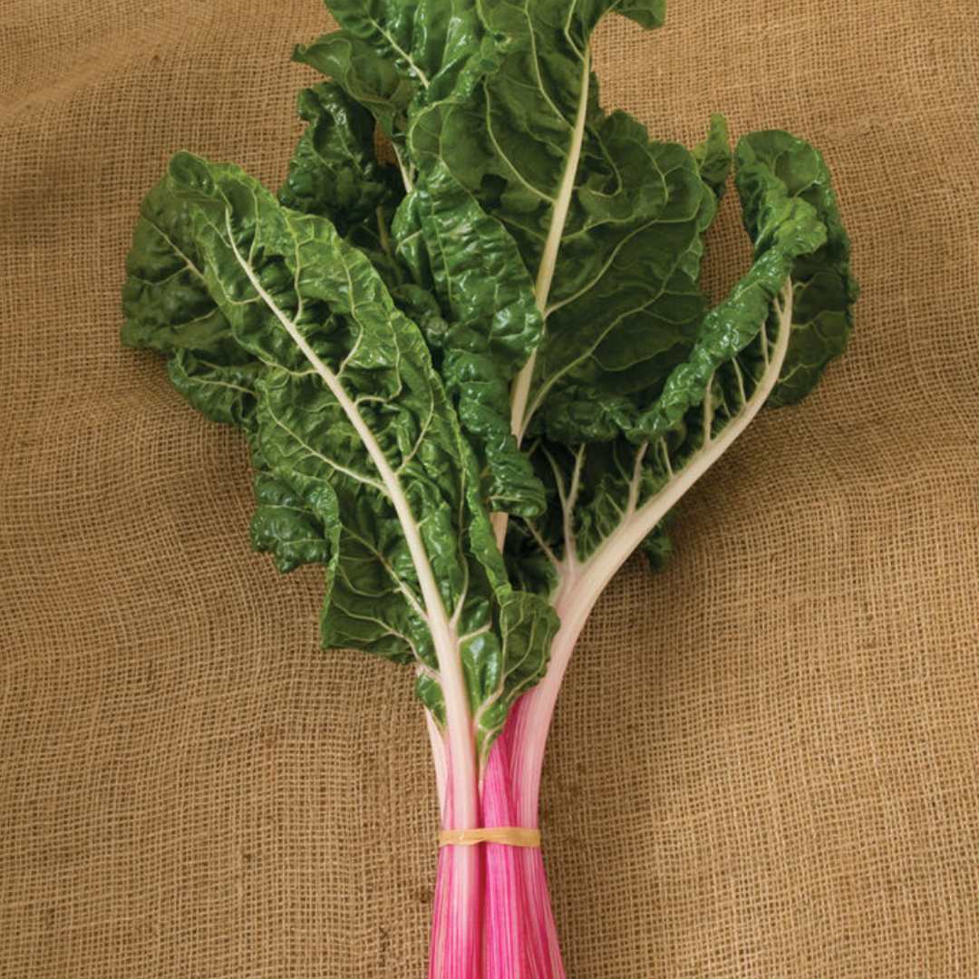 Swiss Chard - Peppermint